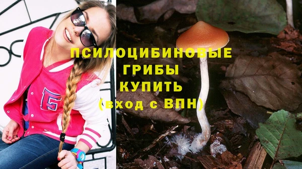 MDMA Краснослободск
